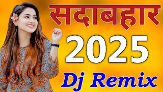 New Best Old Dj Remix 💖 New Best Old Dj Remix  JBL Dj Remix Old Hindi 2024 Mix 💞 HINDI REMIX 2024 [upl. by Yetsirhc285]