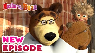 Masha and the Bear 🚿 LAUNDRY DAY 🧼 30 min ⏰ Сartoon collection 🎬 [upl. by Acirred]