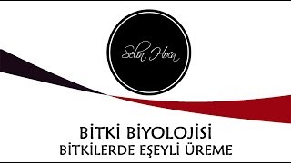 ARŞİV 17 Bitkilerde Eşeyli Üreme  12 Sınıf Biyoloji AYT 40 [upl. by Ainolloppa]