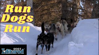 Iditarod 2023  Run Dogs Run documentary [upl. by Attela]