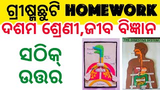 Class 10 Life Science  Summer Vacation Holiday Homework 2024 [upl. by Lori387]