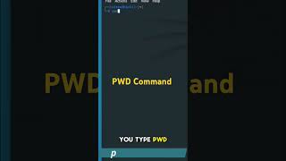 How to Use PWD Command  Linux Terminal Tutorial  Cybersecurity Essentials  Kali Linux [upl. by Nwahsem]