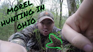 MOREL mushroom HUNTING in Ohio  awesome day [upl. by Ahsietal]