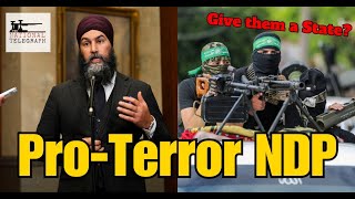 Jagmeet Singh wants Canada to reward terrorists [upl. by Body393]