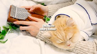 Imagine John Lennon  Kalimba cover [upl. by Mirabel]