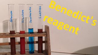 Benedicts reagent  A simple alternative to Fehlings reagent [upl. by Arvie]