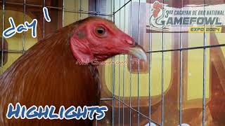 3rd Cagayan de oro National Gamefowl expo 2024 day 1 [upl. by Shirlee789]