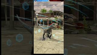 Troodon VS Beta  Jurassic World Alive dinosaur [upl. by Boffa]