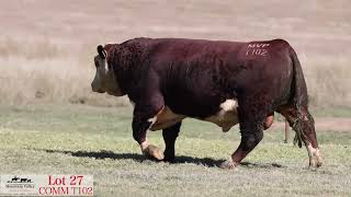 Lot 27 Commercial T102 Mountain Valley 2024 [upl. by Rydder]