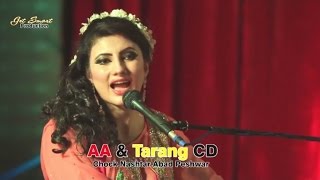 Der Zorawar Dey Janan  Nazia Iqbal Pashto Song  Pushto Hit Song [upl. by Waddington]