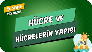 Hücre ve Hücrelerin Yapısı  9Sınıf Biyoloji 2024 [upl. by Nils]