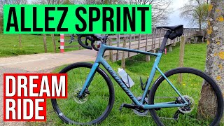 🚲 Specialized Allez Sprint 🚴🏻‍♂️ Roadbike in Action  Dream Ride  Netherlands  Maasroute 🇳🇱 [upl. by Dnomayd]