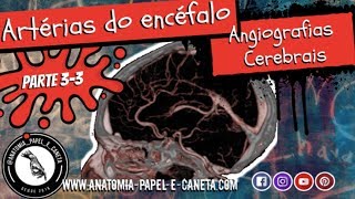 Artérias do encéfalo Parte 33  ANGIOGRAFIA CEREBRAL  ARTÉRIOGRAFIAS [upl. by Handal]