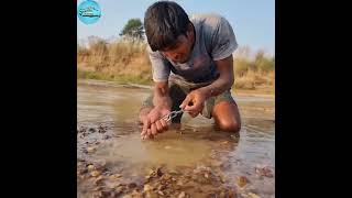 FISHING with a CHICKEN fishing fish video chicken chickenfishtrap holefishing shorts [upl. by Elodie]