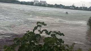 Wien Donau Hochwasser 15092024 [upl. by Alliscirp699]