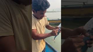 Fishing tips 🐠🌊 rajukare fishing youtube fishermanlifestyle fisherman ytshots shorts yt [upl. by Lyrrad]