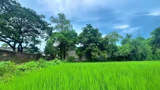 beautiful bangladesh picture [upl. by Corwun]