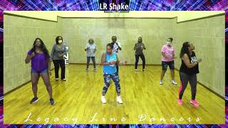 LR Shake Line Dance [upl. by Phox]