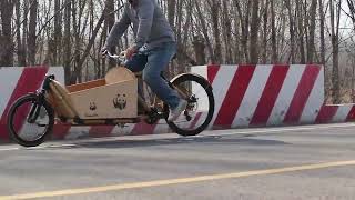 Bamboo Cargo Bike [upl. by Ebehp]