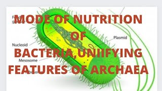 MODE OF NUTRITION OF BACTERIAUNIFYING FEATURES OF ARCHAEA [upl. by Migeon]