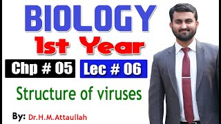 Structure of viruses  Chapter 5  1st year Biology  Lec  6 [upl. by Merlin]