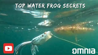 Top water Frog Bass Fishing How to catch more fish in HOT weather [upl. by Inafets]