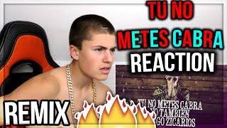 Tu No Metes Cabra Remix🔥  Bad Bunny Daddy Yankee Anuel amp Cosculluela REACTIONREACCION [upl. by Finbur940]