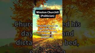 Ease into Productivity Like Churchill [upl. by Ritz]