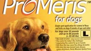 How to Cure Mange in Dogs [upl. by Bain]