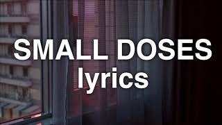 Bebe Rexha  Small Doses Lyrics [upl. by Kyne]