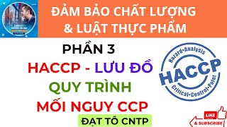 P3  12 Bước HACCP  Lưu Đồ  Quy Trình  Mối Nguy  CCP  Đảm Bảo Chất Lượng  ĐẠT TÔ CNTP [upl. by Dygal]