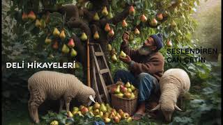 DELİ HİKAYELERİ  GÜLÜMSETEN HİKAYELER [upl. by Eilama]