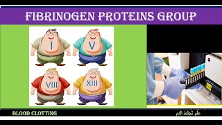 Lecture 32 Fibrinogen Proteins Group [upl. by Cyndy]