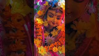 Jai shree radha shayam ji shorts short trending shortsfeed viralvideo shortsviral video like [upl. by Lenuahs]