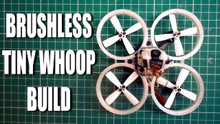 Build A Brushless Tiny Whoop [upl. by Siloum868]