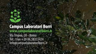 Scuola di Naturopatia Campus Laboratori Borri Full HD  Podcast di Naturopatia [upl. by Ccasi]