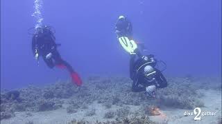 scuba diving in Plakias 2024 [upl. by Gnohc]