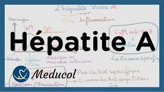 Hépatite A symptômes sérologie de lhépatite A vaccin et traitement [upl. by Itagaki]