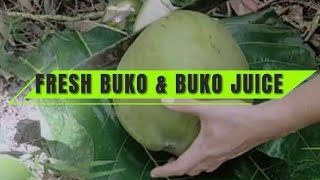 Plants Pal TV is live FRESH BUKO amp FRESH BUKO JUICE ASMR Satisfying Sounds asmr [upl. by Atterol]