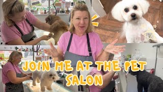 Join me in the pet salon  PART 1 [upl. by Kohler]