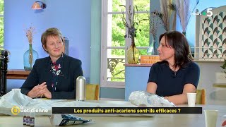 Les produits anti acariens sont ils efficaces   La Quotidienne [upl. by Nawak]