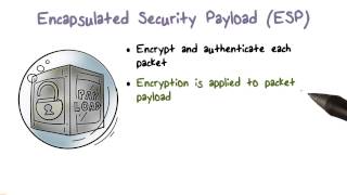 Encapsulated Security Payload ESP [upl. by Eilsil]