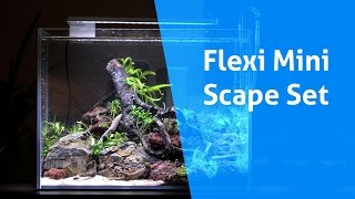 Flexi mini Scape Set – Aquascaping Aufbau im ZeitrafferTimelapse [upl. by Jethro30]