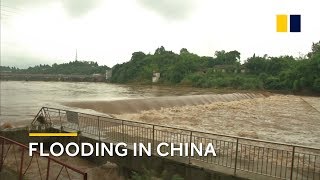 China Yangtze River floods as first yellow alert of the year is issued [upl. by Noislla]