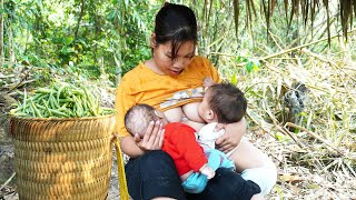 Harvesting Green Bean Garden goes to the market sell  gardening  Single mother life  Lý Thị Ngoan [upl. by Oer]