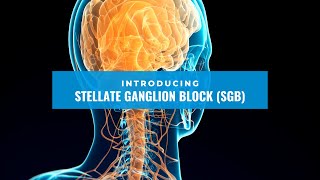 Stellate Ganglion Block SGB  Dr Shounuck Patel [upl. by Hutchinson]