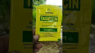 Streptomycin sulphate tetracycline hydrochloride 9010 tagmycin tropical agro antibiotic shorts [upl. by Ellerehc639]