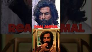 Ranbir Kapoors Transformation in Animal A Review You Cant Miss animal ranbirkapoor short [upl. by Arual]