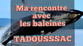 22 Tadoussac  Ma rencontre avec les baleines [upl. by Seaver]