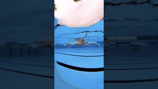 Smooth swimming with a high elbow catch and two beat kick swimming [upl. by Gannes]